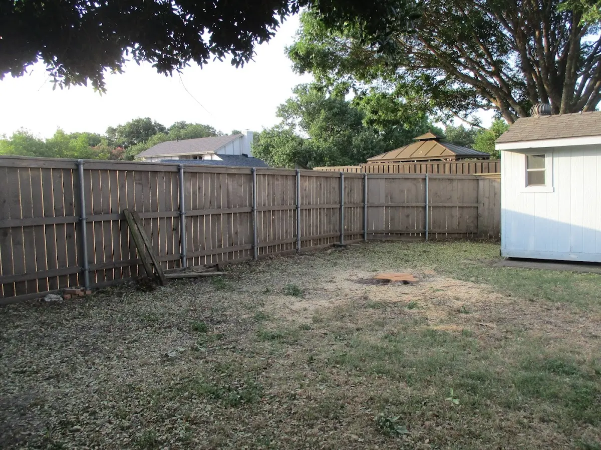Cleared yard after professional tree removal in Teec Nos Pos